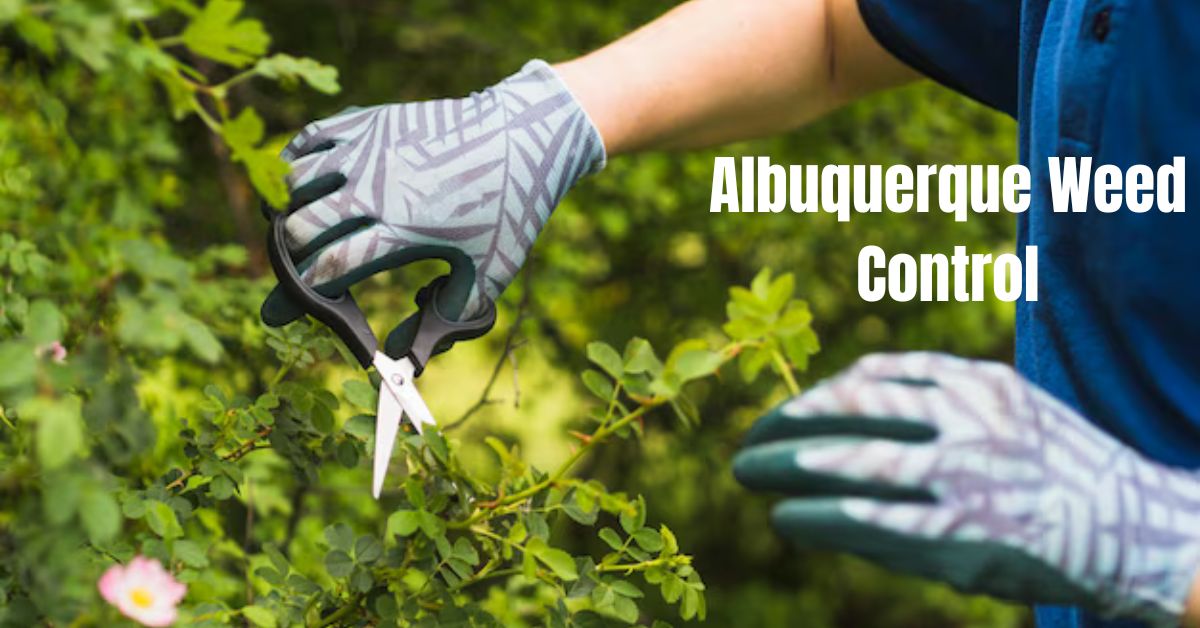 Albuquerque Weed Control